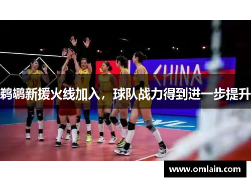 鹈鹕新援火线加入，球队战力得到进一步提升