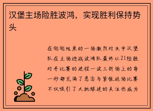 汉堡主场险胜波鸿，实现胜利保持势头