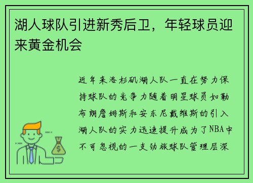湖人球队引进新秀后卫，年轻球员迎来黄金机会